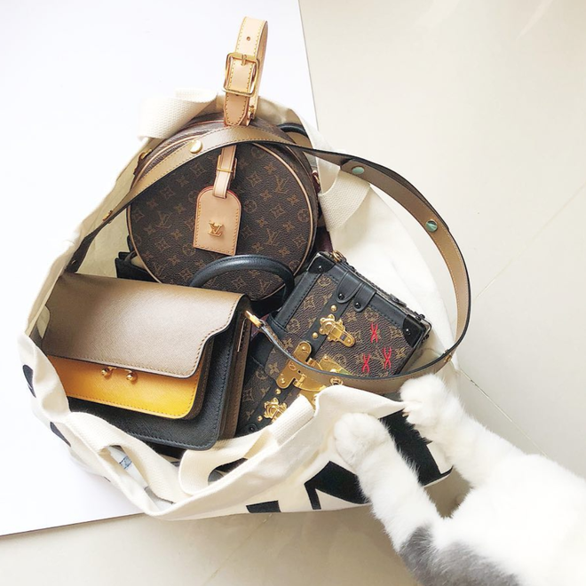 LV Petite Boite Chapeau - chiếc túi có gì đặc biệt mà khiến các tín đồ thời trang thi nhau đụng hàng - Ảnh 30.