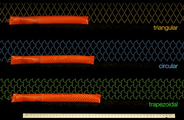 Kỹ thuật cắt giấy cổ đại Nhật Bản đang được ứng dụng để chế tạo robot mềm, chuyển động mượt mà như rắn thật - Ảnh 5.
