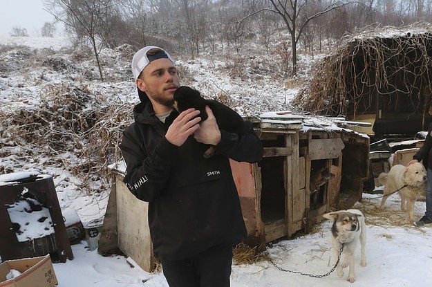 Vận động viên trượt tuyết Mỹ giải cứu 90 chú chó được nuôi lấy thịt, đóng cửa cả trang trại chó khi đang thi đấu tại Hàn Quốc - Ảnh 4.