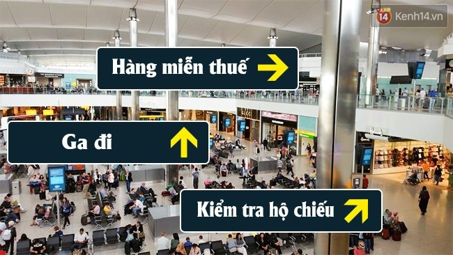 7 mánh khoé móc túi khách hàng của các sân bay mà chỉ nhân viên nghỉ việc mới dám tiết lộ - Ảnh 1.