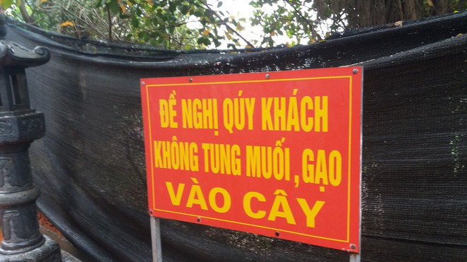  Hà Nội: Người dân vô tư rắc muối, gạo ngay trước biển cấm ở đền Và  - Ảnh 2.