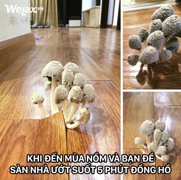 Trời nồm l&agrave; g&igrave;? L&agrave; loại thời tiết m&agrave; chỉ cần nhắc đến th&ocirc;i bạn đ&atilde; muốn ph&aacute;t đi&ecirc;n rồi! - Ảnh 3.