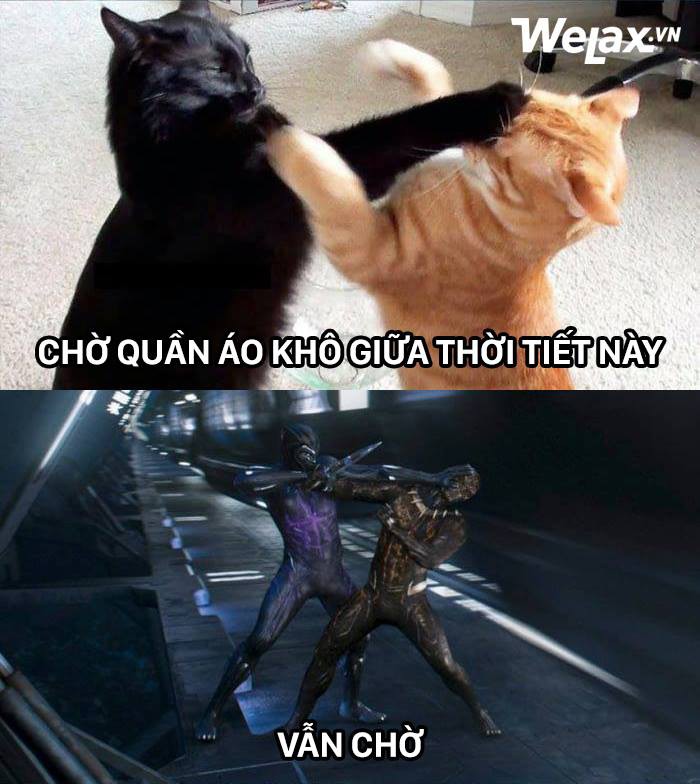 Trời nồm l&agrave; g&igrave;? L&agrave; loại thời tiết m&agrave; chỉ cần nhắc đến th&ocirc;i bạn đ&atilde; muốn ph&aacute;t đi&ecirc;n rồi! - Ảnh 4.