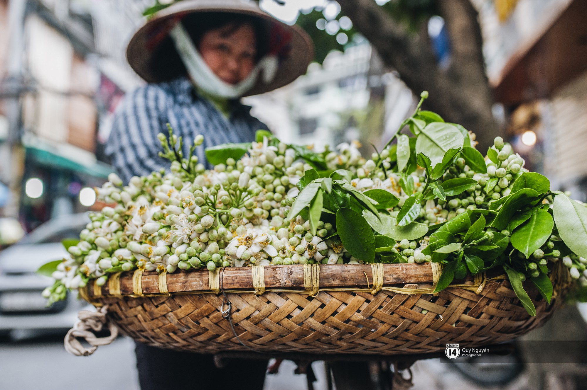 Giữa tiết trời nồm ẩm đầu xuân, có một Hà Nội nên thơ và dịu dàng hương hoa bưởi - Ảnh 10.