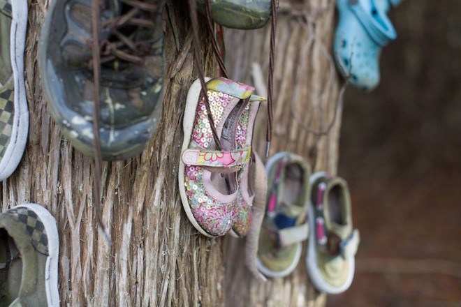 Khu rừng b&iacute; ẩn ở Canada: H&agrave;ng trăm đ&ocirc;i sneakers bị đ&oacute;ng đinh l&ecirc;n c&acirc;y, kh&ocirc;ng ai biết l&yacute; do v&igrave; sao - Ảnh 29.
