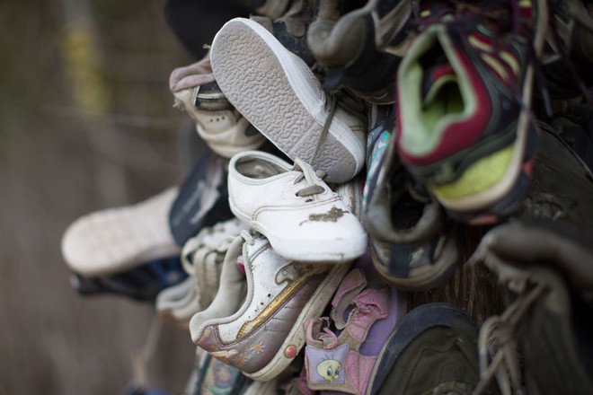 Khu rừng b&iacute; ẩn ở Canada: H&agrave;ng trăm đ&ocirc;i sneakers bị đ&oacute;ng đinh l&ecirc;n c&acirc;y, kh&ocirc;ng ai biết l&yacute; do v&igrave; sao - Ảnh 10.