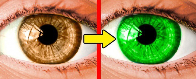 11 sự thật gi&uacute;p bạn nhận thấy cơ thể ch&uacute;ng ta ngập tr&agrave;n những điều bất ngờ - Ảnh 3.