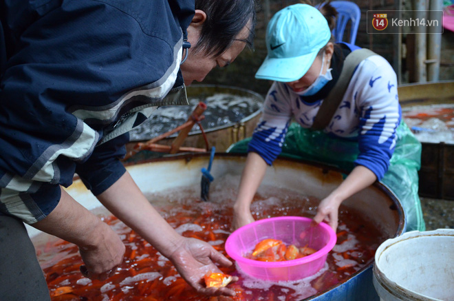 Chợ cá lớn nhất Hà Nội nhộn nhịp trước giờ ông công ông táo về chầu trời - Ảnh 4.