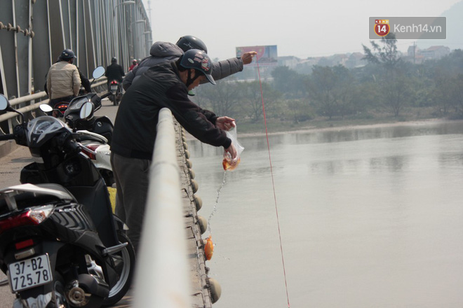 Người dân vô tư ném cá chép từ trên cầu cao hàng chục mét xuống sông để phóng sinh trong ngày ông Công ông Táo - Ảnh 5.