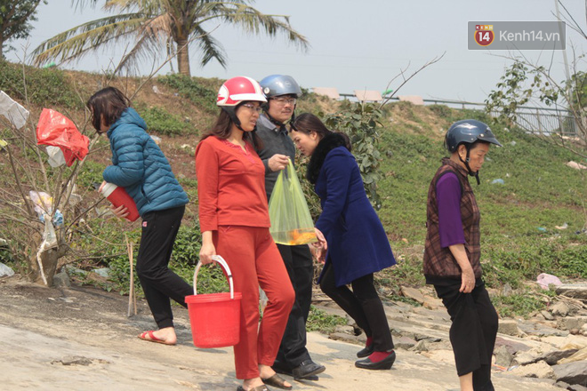 Người dân vô tư ném cá chép từ trên cầu cao hàng chục mét xuống sông để phóng sinh trong ngày ông Công ông Táo - Ảnh 6.