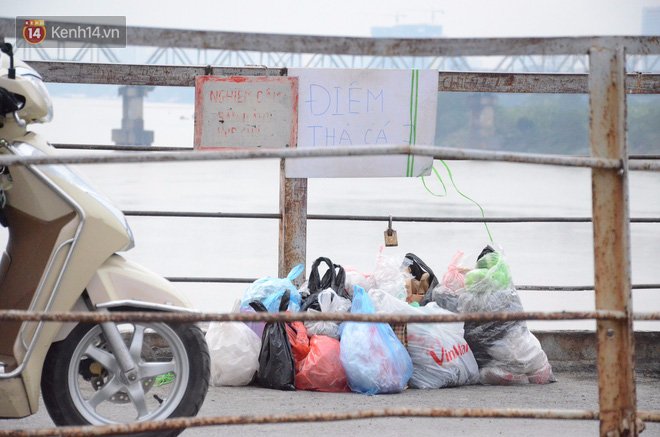 Hà Nội: Nhóm sinh viên chịu lạnh đứng trên cầu Long Biên vận động mọi người thả cá không thả rác - Ảnh 4.