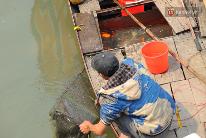 Nghệ An: Vừa phóng sinh đã bị vợt cá ngay trước mắt, người dân bất lực đứng nhìn - Ảnh 10.