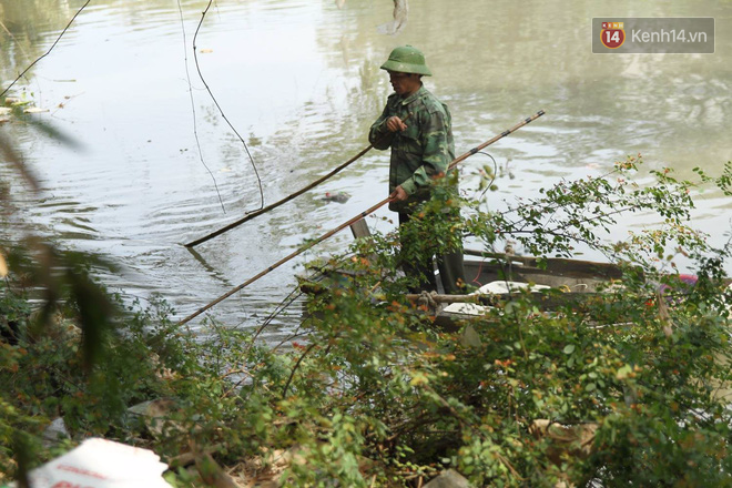 Clip, ảnh: Cá chép tiễn Táo quân vừa bơi tới cầu Diễn đã bị chích điện lôi lên bờ - Ảnh 5.