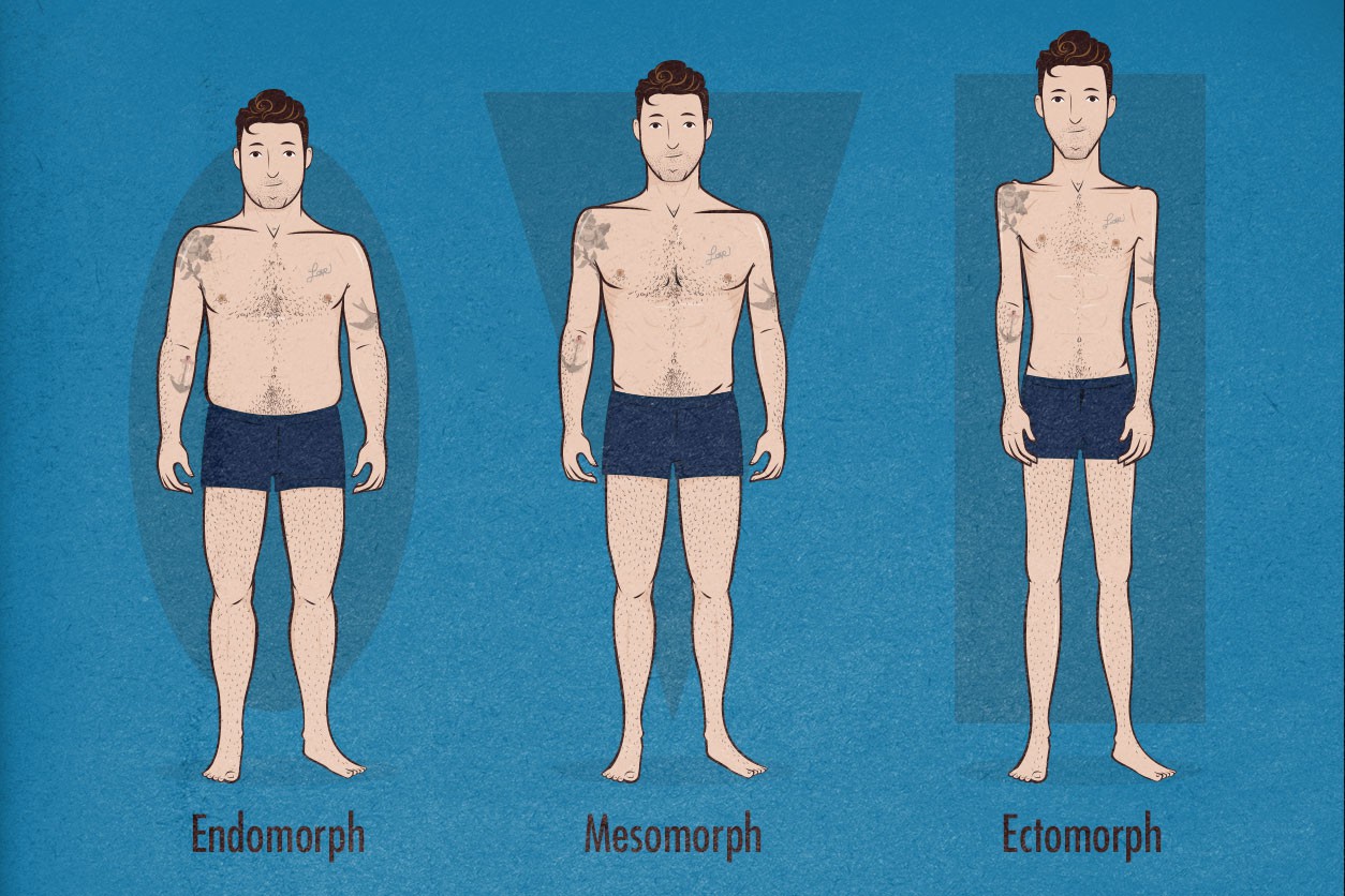 Ba hình minh họa cơ thể nam, từ trái sang phải: endomorph, mesomorph, ectomorph, trên nền xanh.