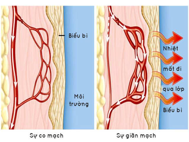 Mỹ lạnh hơn cả sao Hỏa, Trung Quốc tuyết rơi khắc nghiệt vậy đâu là giới hạn chịu lạnh của con người? - Ảnh 2.