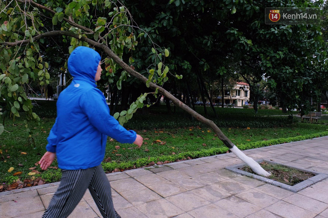 Hà Nội: Gió rét thổi mạnh, nhiều người chạy xe máy bị quật chao đảo trên đường phố - Ảnh 11.