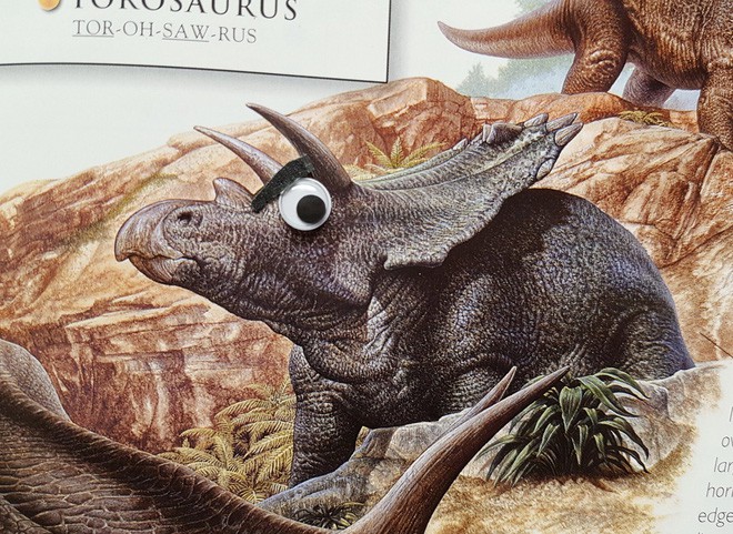 Gắn cặp mắt giả vào, xấu như khủng long cũng trở nên dễ thương hơn trăm lần - Ảnh 3.