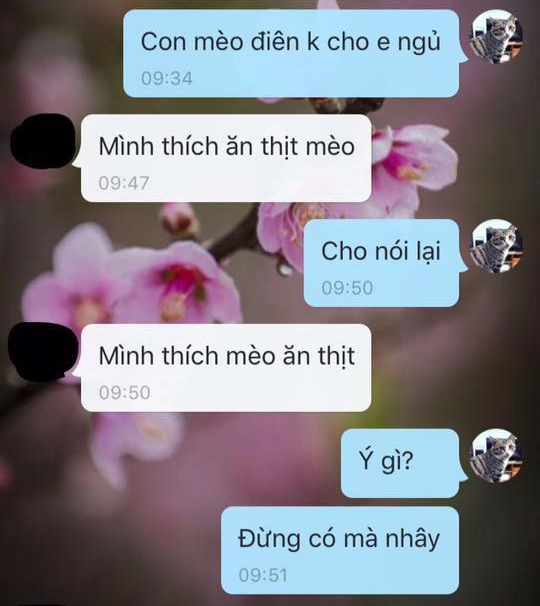 Thanh niên bị bạn gái đòi chia tay vì dám túm em mèo ném từ giường xuống đất  - Ảnh 5.