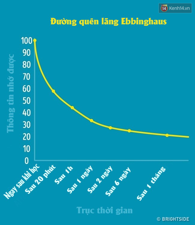 Lý do chúng ta luôn học trước quên sau và bí kíp để ghi nhớ siêu như máy tính - Ảnh 2.