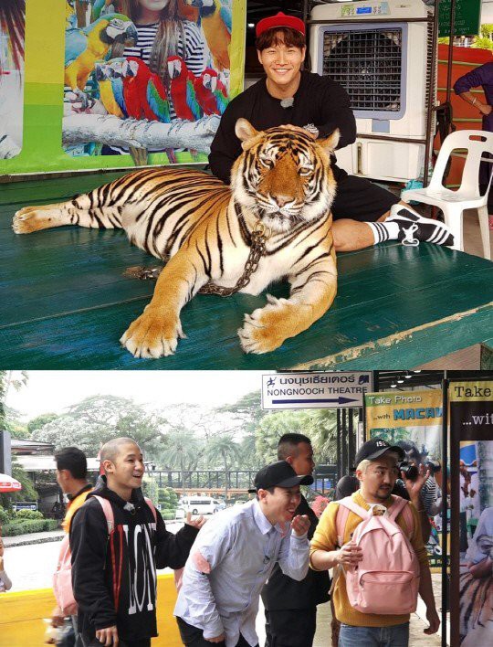 Kim Jong Kook thấy sư tử thì co rúm nhưng chụp hình với hổ lại tươi rói - Ảnh 1.