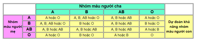 Tự lấy bản thân làm ví dụ trong giờ học khoa học, cô sinh viên nhận ra sự thật đau đớn về người cha ruột của mình - Ảnh 3.