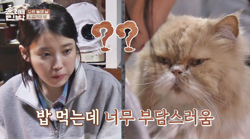Không ưa IU nhưng lại tình cảm với Park Bo Gum ra mặt, nhân vật này là ai? - Ảnh 5. Không ưa IU nhưng lại tình cảm với Park Bo Gum ra mặt, nhân vật này là ai? - Ảnh 5.