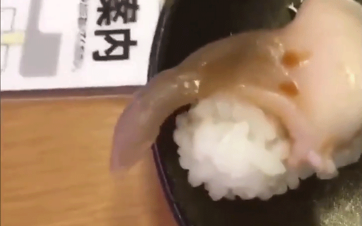 Chuẩn bị đưa đũa gắp th&igrave; miếng sushi bỗng động đậy vẫy vẫy, bạn c&oacute; d&aacute;m ăn kh&ocirc;ng? - Ảnh 3.