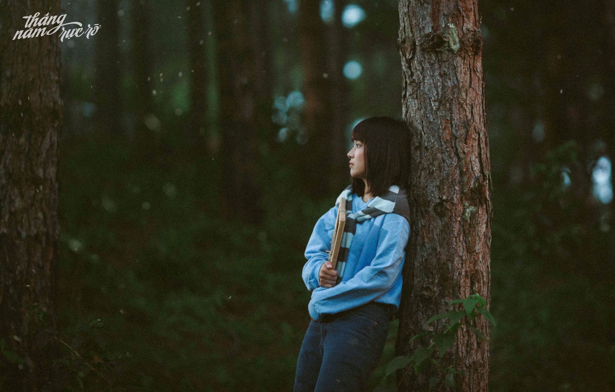 Tháng Năm Rực Rỡ: Tình đầu là tình dang dở, những cũng vì dang dở mà đẹp đẽ diệu kì - Ảnh 1. Tháng Năm Rực Rỡ: Tình đầu là tình dang dở, những cũng vì dang dở mà đẹp đẽ diệu kì - Ảnh 1.
