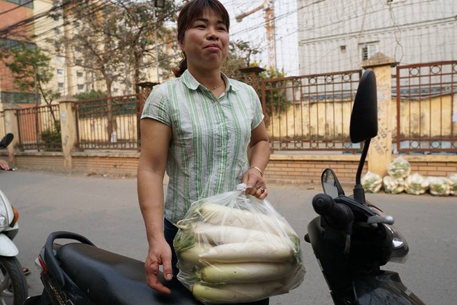 Hàng trăm người dân Hà Nội háo hức giải cứu củ cải trắng cho nông dân Tráng Việt - Ảnh 13.