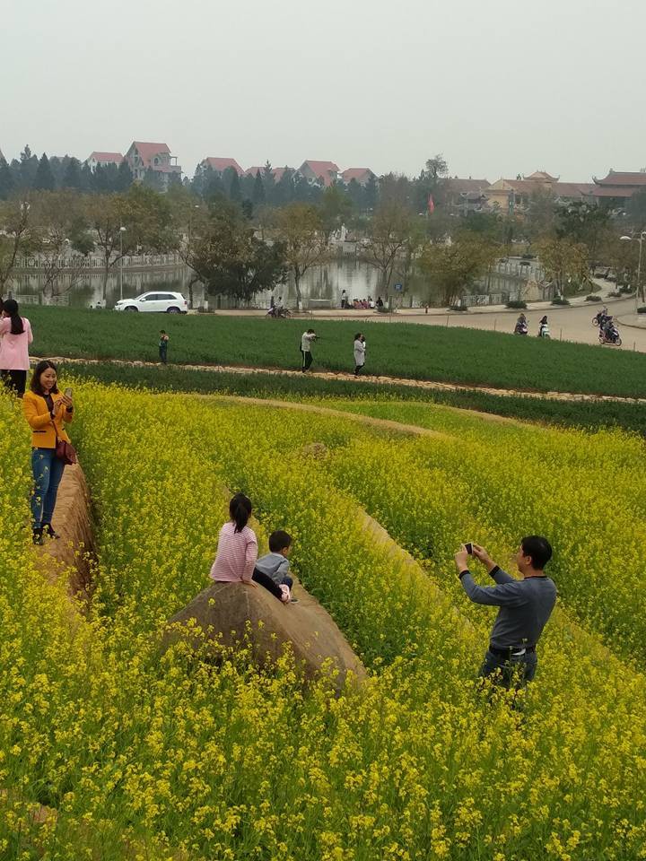 Cư dân mạng bỗng dưng phát hiện ra vườn hoa cải trắng và ruộng bậc thang chỉ cách Hà Nội có 20km - Ảnh 12. Cư dân mạng bỗng dưng phát hiện ra vườn hoa cải trắng và ruộng bậc thang chỉ cách Hà Nội có 20km - Ảnh 12.