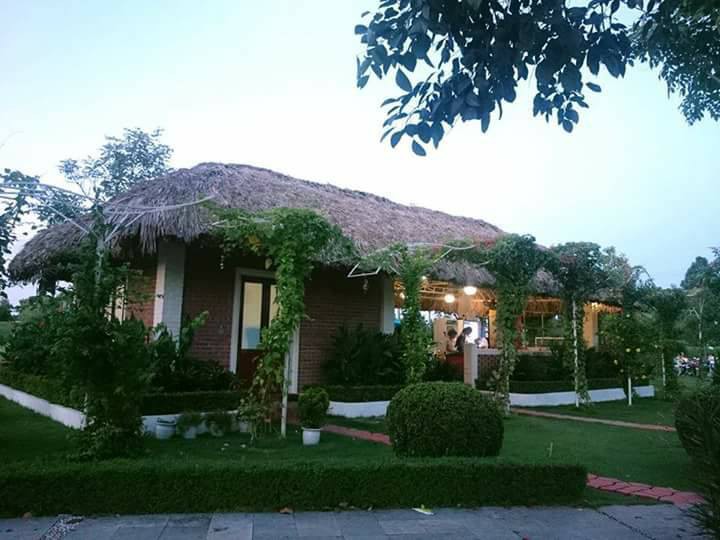 Cư dân mạng bỗng dưng phát hiện ra vườn hoa cải trắng và ruộng bậc thang chỉ cách Hà Nội có 20km - Ảnh 13. Cư dân mạng bỗng dưng phát hiện ra vườn hoa cải trắng và ruộng bậc thang chỉ cách Hà Nội có 20km - Ảnh 13.