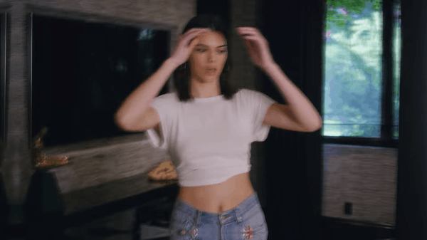 Kendall Jenner và Ed Sheeran cùng ăn chửi vì xuất hiện trong MV của Chris Brown - Ảnh 2.