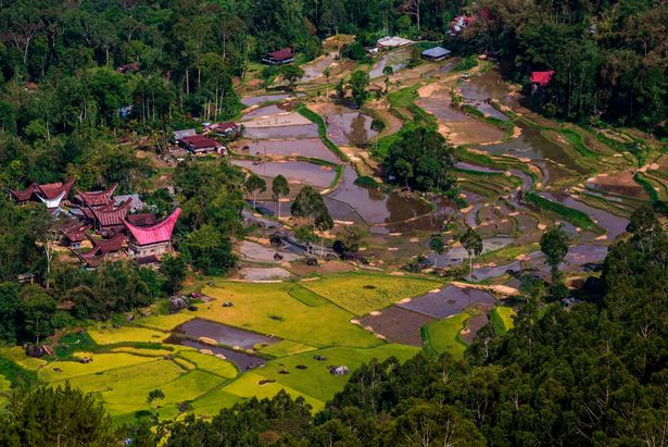 Bên trong "ngôi làng của cái chết", nơi dân làng đào mộ, mặc quần áo mới cho thi thể người thân rồi còn "mời thuốc lá" Photo-9-1519960872226320383577