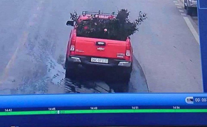 Công an trích xuất camera truy tìm chiếc xe ô tô vào vườn trộm cây hoa hồng cổ gần 20 tuổi - Ảnh 1. Công an trích xuất camera truy tìm chiếc xe ô tô vào vườn trộm cây hoa hồng cổ gần 20 tuổi - Ảnh 1.