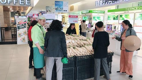 3 ng&agrave;y giải cứu củ cải trắng: Ti&ecirc;u thụ 50 tấn, c&ograve;n 1000 tấn chờ thu hoạch - Ảnh 2.