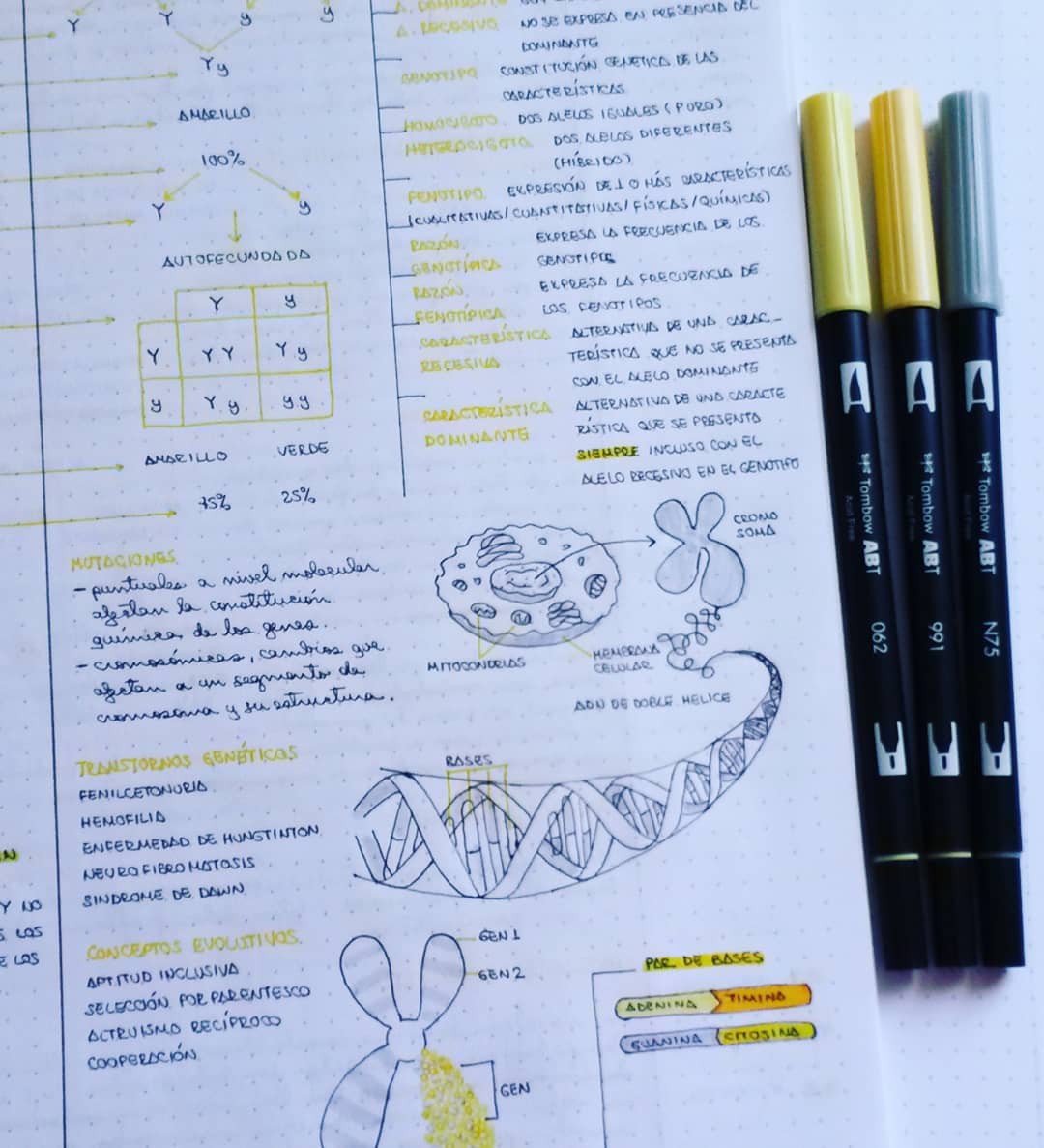 Học giỏi thôi chưa đủ, phải học thêm cách trình bày vở thật phong cách nữa - Ảnh 7. Học giỏi thôi chưa đủ, phải học thêm cách trình bày vở thật phong cách nữa - Ảnh 7.