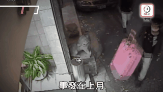 Vụ án nam thanh niên Hong Kong giết bạn gái, giấu xác trong vali: Phải dùng Google Map để tìm kiếm kiếm thi thể cô gái xấu số - Ảnh 1. Vụ án nam thanh niên Hong Kong giết bạn gái, giấu xác trong vali: Phải dùng Google Map để tìm kiếm kiếm thi thể cô gái xấu số - Ảnh 1.