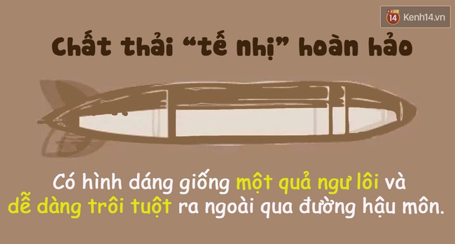 Hỏi nhỏ: Khối lượng chất thải tế nhị mà mỗi người tạo ra trong suốt cuộc đời là bao nhiêu? - Ảnh 3.