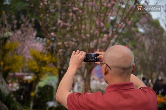 Chưa đến ngày khai mạc, nhiều người dân Hà Nội vẫn kéo đến chụp ảnh hoa anh đào từ phía ngoài hàng rào - Ảnh 7.