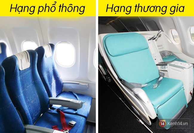 Không phải trùng hợp mà nhiều hãng hàng không chọn ghế trên máy bay có màu xanh, có lý do cả đấy Mb1-1522160742134656268615-15221607611841739258610