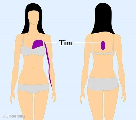 9 cơn đau vô cùng nguy hiểm nhất định không được bỏ qua - Ảnh 1.