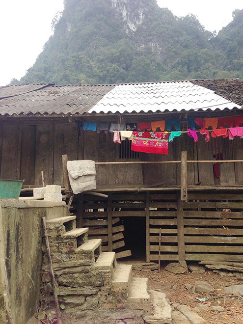 Bố mất sớm, mẹ bỏ đi, cháu bé bại não sống trên lưng bà nội - Ảnh 2.