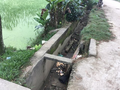 B&eacute; trai 3 tuổi của vợ chồng hiếm muộn gặp nạn thương t&acirc;m - Ảnh 1.