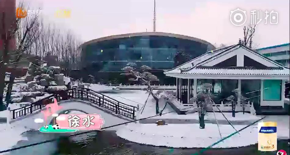 Cuộc sống giàu sang, đầy đủ bậc nhất của quý tử nhà Huỳnh Thánh Y và hệ lụy không ngờ - Ảnh 12. Cuộc sống giàu sang, đầy đủ bậc nhất của quý tử nhà Huỳnh Thánh Y và hệ lụy không ngờ - Ảnh 12.