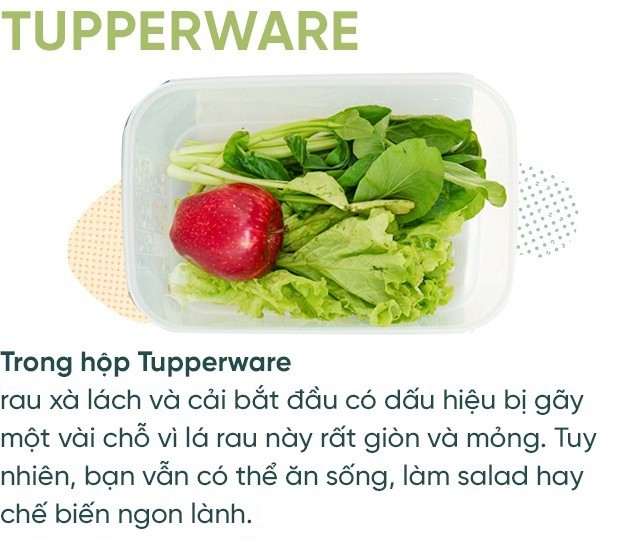 Cất rau quả trong túi ni lông lẫn hộp đựng chuyên dụng suốt 7 ngày và điều bất ngờ đã xảy ra - Ảnh 15.