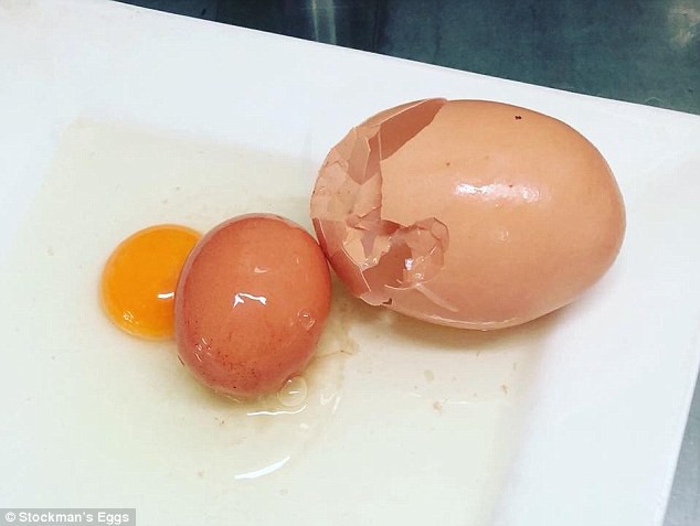 Ẩn giấu trong quả trứng khổng lồ này là 1 bí mật mà đập ra bạn sẽ cực bất ngờ - Ảnh 3.