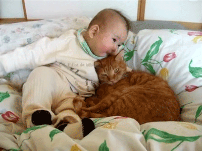 C&aacute;c &ldquo;con sen&rdquo; &agrave;, &ldquo;ho&agrave;ng thượng&rdquo; cũng thấu hiểu cảm x&uacute;c của ch&uacute;ng ta đ&oacute;! - Ảnh 3.