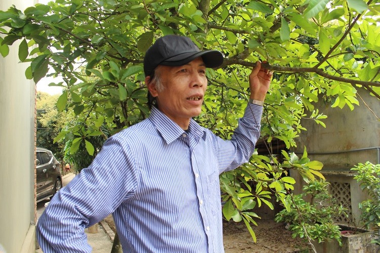 Hà Nam: Xót xa cảnh trại lợn bỏ trống, người nông dân phá chuồng làm thuê trả nợ - Ảnh 5. Hà Nam: Xót xa cảnh trại lợn bỏ trống, người nông dân phá chuồng làm thuê trả nợ - Ảnh 5.