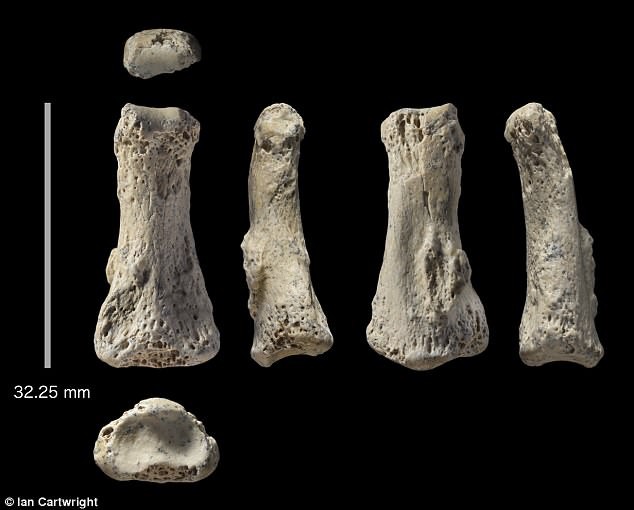 Hóa thạch 85.000 năm tuổi ở Saudi Arabia ẩn chứa bí mật mới của loài người - Ảnh 1.