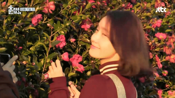 Yoona & Park Bo Gum cùng nhau tạo dáng: Đẹp hơn cả hoa! - Ảnh 5.